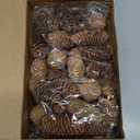 50 Pieces Natural Hanging Pine Cones with Claw Nails Christmas Snow Pine Cones Crafts Rustic Fall Garland Large Halloween Thanksgiving Decorations Christmas Tree Fall Ornaments for DIY