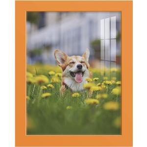 Renditions Gallery 8x10 inch Picture Frame High-end Modern Style, Made of Solid Wood and High Definition Glass Ready for Wall and Tabletop Photo Display, Orange Frame
