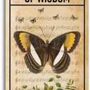 Pack of 13 Inspirational Wood Sign, Whisper Words of Wisdom Sign, Let It Be Sign, Decorative Hanging Wall Plaque Wood Sign, Wall Decor Art, Butterfly Decor, Farmhouse Wood Sign, Home Office Decor