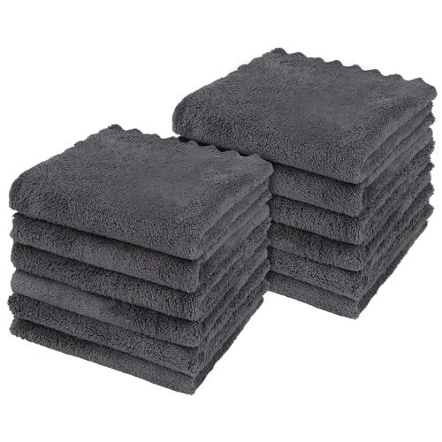 Orighty Ultra Soft Washcloths 12 Pack, Premium Microfiber Towel Sets 12x12 inches, Absorbent and Quick Drying Coral Velvet Washcloth, Multi-Purpose Wash Cloths for Bathroom, Hotel, and Gym (Grey)
