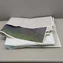 Classic Bear Backdrop Spring Forest Red Balloon Honeypot Photography Background Party Decorations Kids Birthday Photo Booth Banner Cake Table Props 7x5 FT