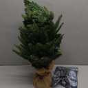 2 ft Small Mini Prelit Artificial Christmas Tree with Color LED Lights, Remote Control and Timer, Perfect PE+PVC Little Tabletop Christmas Tree for Table Top Decor, Home,Wedding, Dining Desk, 2 Foot