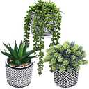 Winlyn  2 Pcs Small Potted Succulents Plants Artificial String of Pearls Aloe Hops Succulents in Black Geometric Concrete Pots for Gifts Modern Home Bathroom Window Table Indoor Outdoor Greenery Décor