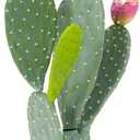 Artificial Cactus Plant Outdoor, 41 Tall UV-Resistant Fake Cacti Plants with Realistic Pads & Vibrant Fruits in Brown Pot, Faux Floor Plant for Indoor Home Living Room Foyer Porch Balcony