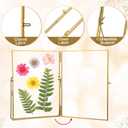 Vicenpal 3 Pack Glass Pressed Flower Frame Handmade, 6 x 8 Floating Picture Frames for Pressed Flowers, Brass Double Glass for Tabletop Display, Home Office Plant Specimen, Photos(Gold)