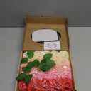 N&T NIETING Artificial Flowers 25pcs Real Looking Artificial Roses with Stems for Valentine's Day Mother's Day Wedding Bridal Bouquet Party Baby Shower Cake Decoration, Series Red