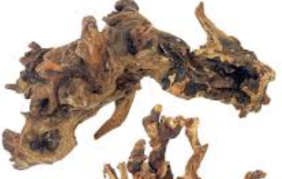 Natural Large Driftwood for Aquarium Fish Tank Decorations, Driftwood for Reptile Tank Bearded Dragon Tank Accessories Terrarium Decor