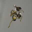 RAZ Imports Wintry Resin Chickadee Bird Ornaments - Set of 4
