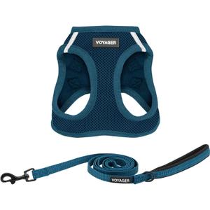 Best Pet Supplies Voyager Step-in Air All Weather Mesh Harness and Reflective Dog 5ft Leash Combo with Neoprene Handle, for Small, Medium and Large Breed Puppies - Set (Blue), X-Small