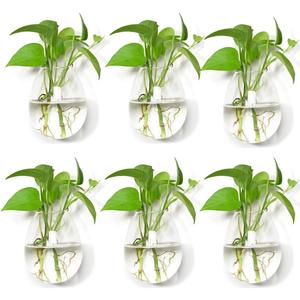 Glass Wall Planters Glass Terrariums Hanging Indoor Planter Container Wall Mounted Glass Vases Hanging Air Plant Pots Holders Oval Flower Vases 6 Pieces (Shape 1)