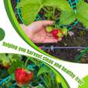 45 Pieces Strawberry Supports Strawberry Plant Holders Stand Waterproof Strawberry Plant Trellis Protectors Reusable Strawberry Growing Racks Frame for Plant Flower Fruit Strawberry Garden Planting