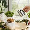 Bamworld Small Watering Can Indoor Outdoor Plant Black Metal Stainless Steel Long Spoutt Flowers Watering Cans for House Garden Plants 10OZ Watering Bottle Cute Stylish Gardening Decoration(Silver)