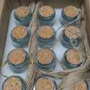 OurWarm 3.4oz Small Glass Jars with Lids, 12PCS Mini Glass Jars with Cork Twine Tags & Stickers, Versatile Potion Bottle Honey Spice Vials Candy Jars for DIY Crafts Birthday Wedding Gifts Party Favors