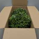 Damomo 27'' Artificial Bunny Shaped Topiary Trees with Ground Spike Set of 2, Outdoor Indoor Faux Boxwood Topiary Ball Bushes Potted Fake Shrubs Front Porch Decor Outside Garden