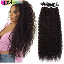 IZA Synthetic Kinky Curly Hair Bundles Afro Kinky Curly Hair Extension Super Long Curly Organic Hair Extensions 26 inches Color 4