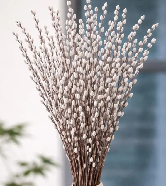 35 Stems 16＂Real Dried PussyWillow Branches for Vase，Natural PussyWillows with White Flowers, Snow Willow Branches for Indoor and Outdoor Decor, Wedding Home Party Hotel Fireplace Yard