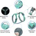 Plutus Pet No Pull Dog Harness, Adjustable Nylon Harness with Soft Padding, Reflective and Heavy Duty Dog Harness for Small, Medium, Large Dogs(Teal, L)
