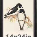 Picture Frame Black. MDF 1-3/8" Curved Extra Wide Edges with Black Back, Vintage Style Poster Frame 14x24 for Wall Decor.