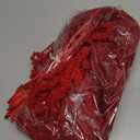 12 Pcs Red Spring Natural Dried Amaranthus Hanging Flowers Amaranthus Artificial Flowers for Wedding Arch Bouquet Floral Garland Wall Home Decoration (23 Inch)