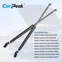Rear Hatch Lift Supports Struts Shocks for 2014-2018 Subaru Forester 2.0L 2.5L with Power Liftgate, OE 63269SG032 63269SG022, 2 Pack