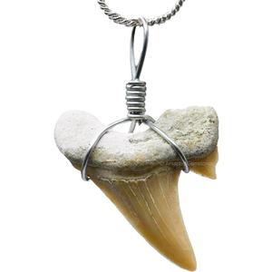 Handmade Shark Tooth Necklace