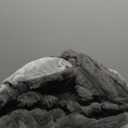 weigelia Grey Comforter King Set  Ultra Soft Plush Fleece Dark Grey Bed Set, Fluffy Warm Luxury Bedding Comforter with 2 Pillowcases, Cozy Heavy Warm Bed Set for Winter