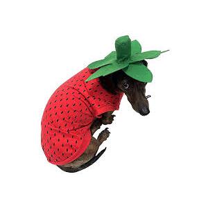 Midlee Strawberry Dog Costume (X-Large)