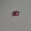 PH PandaHall 26 Inch Decorative Purse Chain Bag Strap Cute Bag Chains Acrylic Extender Chain Replacement Chains with Buckles for Handbags Wallet Shoulder Bag Making, Hot Pink, 1pc