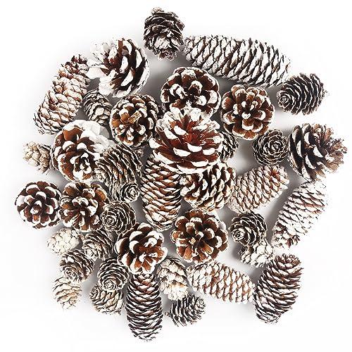 JOHOUSE 40PCS Snow Pinecones for Decorating, Natural Pine Cones for Crafts Vase Filler Christmas Tree Winter Holiday Hanging Ornaments