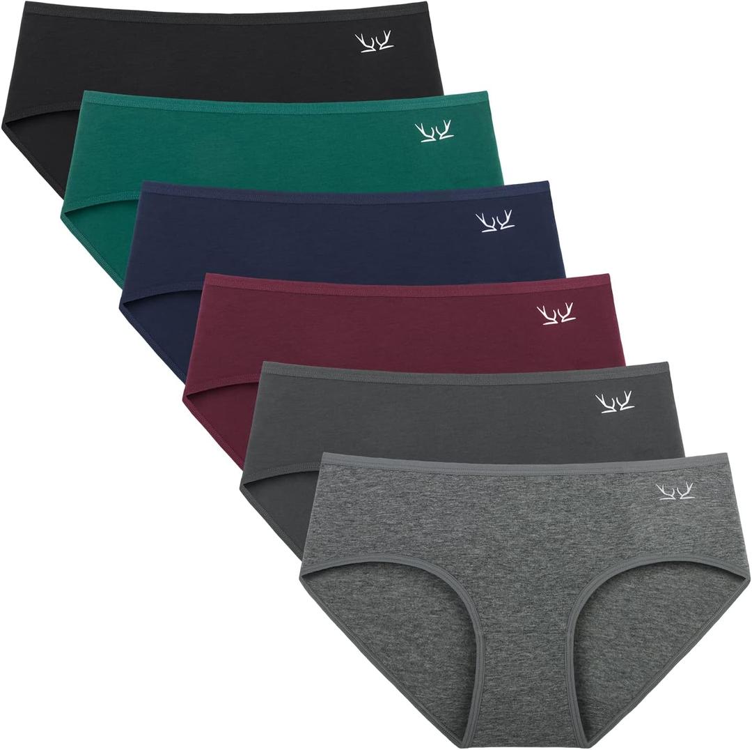 Benirap Womens Underwear Soft Cotton Hipster Panties Breathable Briefs  6 Pack (Large)