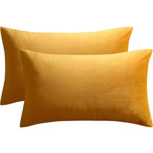 JUSPURBET Gold 16x24 inch Pillow Cover Set of 2 Soft Decorative Lumbar Velvet Throw Pillow Cases for Couch Bed Sofa Zippered Closure Luxurious Velvet Fabric Machine Washable Home Decor