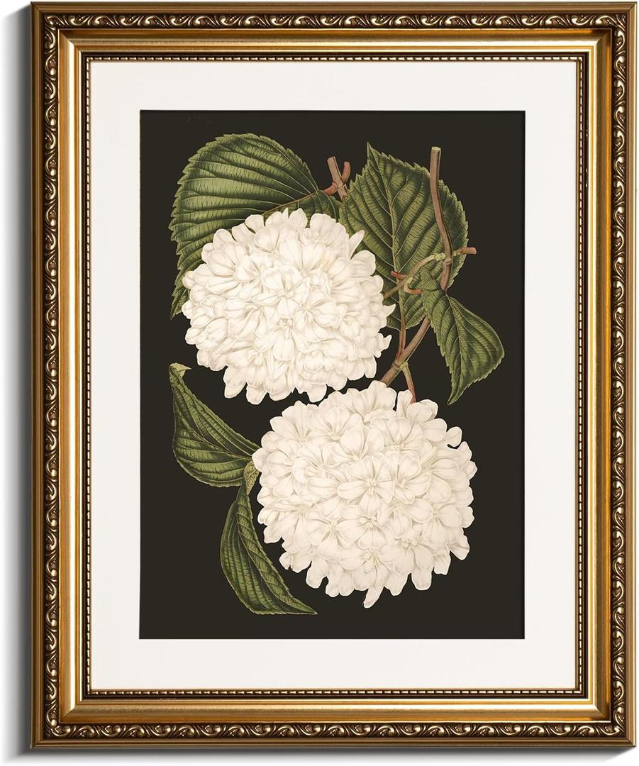 VIYYIEA Gold Framed Wall Art Canvas Print Home Decor White Hydrangea Oil Painting Canvas Prints Room Aesthetic Flower Prints Decoration Bedroom Bathroom Wall Decor Kitchen Office 13x16in (16L" x 13W")