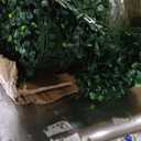 Artificial Ivy Privacy Fence Screen,72" x128 (64 SQFT) 4-Layer Leaf UV-Anti Faux Greenery Boxwood Backdrop Ivy Vine Leaf Fence Panels for Outdoor, Indoor, Garden, Backyard and Decor