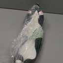 Cute Cat Plush Long Body Pillow  Soft Cartoon Stuffed Animal Doll, Kawaii Cat Plushie Cuddle Toy for Kids, Girls & Girlfriend (Black, 19.7 Inch)