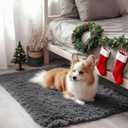 OLANLY 2x3 Machine Washable Small Bedside Rug, Soft Fluffy Shaggy Entryway Throw Rugs for Bedroom, Living Room, Indoor Floor Carpet for Kids Girls and Boys, Nursery Rooms, Home Decor Aesthetic, Grey