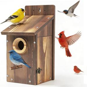 Natural Wood Birdhouse for Outside, Wooden Nesting Box with Circular Entrance Hole and Perch Blue Bird Houses for Outdoors with Clear View Panel & Predator Guard for Blue Robin, Wren, Swallow