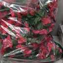 Artificial Faux Bougainvillea Flowers Plants for Outdoor Outside Decoration