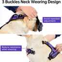 IVY&LANE No Pull Dog Harness for Small Dogs, Dog Vest Harness with Leash, Safety Belt and Storage Strap, Fully Adjustable Harness, 360 Reflective Strip, Soft Handle (Purple, S)