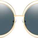 Dollger Metal Double Circle Wire Frame Oversized Round Sunglasses for Women