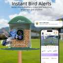Smart Bird Feeder with 4MP HD Camera, Birdwatching Camera with Free AI Identify Birds & Solar Panel for Outdoors, Auto Video Capture & Instant Notifications, Green