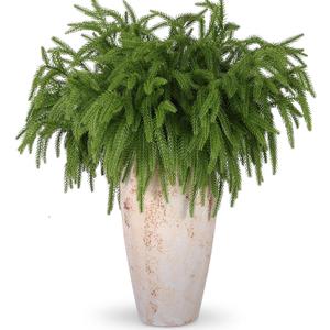 Rowfad 24 Pcs Artificial Norfolk Pine Branches, Faux Norfolk Pine Stems DIY Crafts Faux Christmas Norfolk Pine Branches for Xmas Indoor Outdoor Home Decor (24)