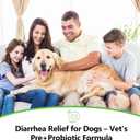 Probiotics for Dogs Dog Digestion Gut Probiotic Powder Cat Dog Probiotic Supplement Skin Coat Supplement for Dogs Digestive and Immune Support Digestive Enzymes with Chicken Flavor