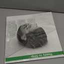 Trouble Will Find Me, The National, Format: Vinyl