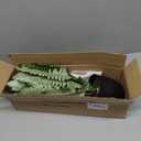 Hollyone 17.7" Fake Fern Potted Plant Small Artificial Boston Ferns in Pot 25 Leaves for Outdoors & Indoor Faux Fern Bush Plant for Patio Garden Farmhouse Windowsill Office Living Room Home Decor (Medium)