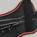 rabbitgoo Dog Harness, No-Pull Pet Harness with 2 Leash Clips, Adjustable Soft Padded Dog Vest, Reflective No-Choke Pet Oxford Vest with Easy Control Handle for Large Dogs, Black & Red, L