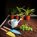 20 Pcs Colorful Metal Hand Shovel Digging Trowel Set Transplanting Garden Shovel for Flower Soil Planting Women Men Gift Indoor Outdoor, 5 Colors