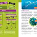Absolute Expert: Dinosaurs: All the Latest Facts from the Field