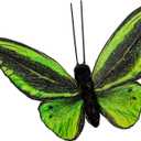 Berfutall- Feather Butterfly Decorations Set of 6 Vibrant Multi Colored Craft Butterflies on Clip .Party Spring Home Decor Floral Pics.St.Patrick'sDay