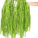 12 Pcs Green Spring Natural Dried Amaranthus Hanging Flowers Amaranthus Artificial Flowers for Wedding Arch Bouquet Floral Garland Wall Home Decoration (23 Inch)