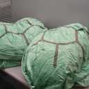 SEAHOME Wearable Turtle Shell PillowsTurtle Plush Pillow Stuffed Animal Costume for Kids Adults  Plush Toy Funny Dress Up Creative Gifts (Green, 40 inch)